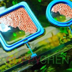 Vòng đựng cám hình tròn và vuông cho cá