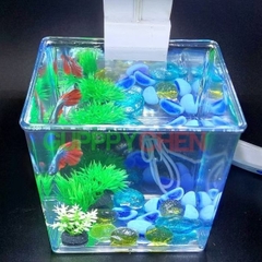Hồ Nhựa Mini Nuôi Cá 15x12x15 - Betta , Guppy , Cá Thủy Sinh - Cao Cấp Siêu Trong