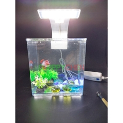 Hồ Nhựa Mini Nuôi Cá 15x12x15 - Betta , Guppy , Cá Thủy Sinh - Cao Cấp Siêu Trong