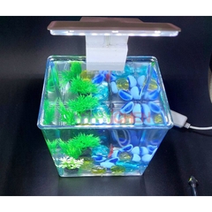 Hồ Nhựa Mini Nuôi Cá 15x12x15 - Betta , Guppy , Cá Thủy Sinh - Cao Cấp Siêu Trong