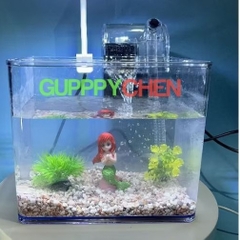 Hồ Nhựa Mini Nuôi Cá 15x12x15 - Betta , Guppy , Cá Thủy Sinh - Cao Cấp Siêu Trong