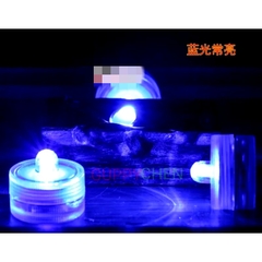 Hồ Nhựa Mini Nuôi Cá 15x12x15 - Betta , Guppy , Cá Thủy Sinh - Cao Cấp Siêu Trong