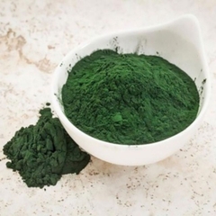 tảo bột - thức ăn atermia sinh khối