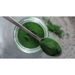 tảo bột - thức ăn atermia sinh khối