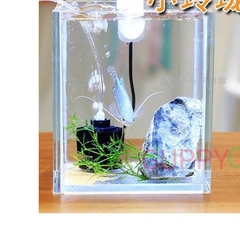 Lọc vi sinh siêu mini 2833 cho hồ cá