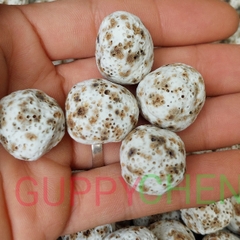 [100gram] Sứ Bi Muối Tiêu - Vật Liệu Lọc Nước Bể Cá