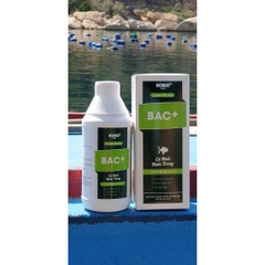 [Mã PET80K giảm 8% tối đa 80K đơn 350K] Vi sinh tiêu hóa KOIKA BAC+ chai 1 lít cho cá cảnh