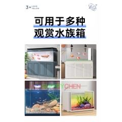 Biozym Ag+ Liquid Yellow - Xử Lý Nấm cá, Thối Thân, Xuất Huyết, Xù Vẩy