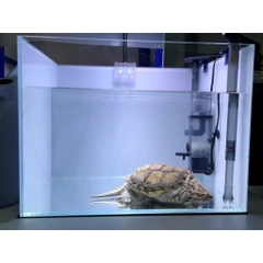 Lọc váng sunsun JY-02 JY-03 cho hồ cá hồ thủy sinh