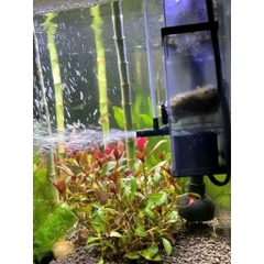 Lọc váng sunsun JY-02 JY-03 cho hồ cá hồ thủy sinh