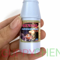 Bensol - Sản phẩm xử lý nấm ký sinh trùng cho hồ cá 60ml