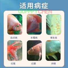 Dung Dịch Khử Khuẩn Xử Lý Nấm Cấp Tốc Yee Methylene Blue - Siêu Phẩm Xử Lý Nấm , Các Vấn Đề Ngoài Dạ Cho Cá