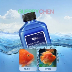Dung Dịch Khử Khuẩn Xử Lý Nấm Cấp Tốc Yee Methylene Blue - Siêu Phẩm Xử Lý Nấm , Các Vấn Đề Ngoài Dạ Cho Cá