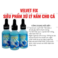VELVET FIX - Siêu Phẩm Xử Lý Nấm Khử Khuẩn Hồ Cá , Bảo Vệ Chống Sốc Cho Cá Khi Thay Nước