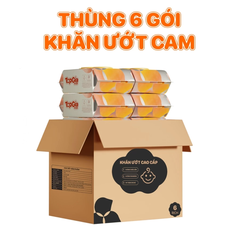Khăn ướt cho bé TopgiaKids (Thùng 6 gói)
