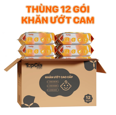 Khăn ướt cho bé TopgiaKids (Thùng 6 gói)