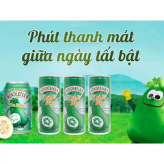 Trà bí đao Wonderfarm lon 310 ml
