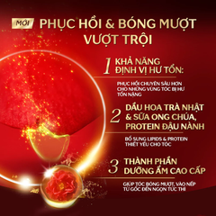 Bộ gội xả Tsubaki dưỡng tóc bóng mượt 490ml x 2