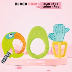 Cắn răng hình xương rồng/quả bơ silicone/vẹt Chicco
