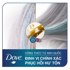 Dầu gội Dove hỗ trợ phục hồi tóc hư tổn 640g/880g