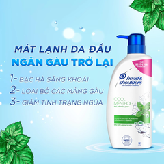 Dầu gội Head & Shoulders bạc hà mát lạnh 170ml/625ml