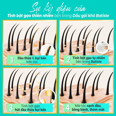 Dầu gội khô Batiste hương tươi mát/cổ điển/hoa thiên nhiên/hoa anh đào/hoa quyến rũ 200ml
