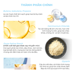 Dầu gội khô GIRLZ ONLY cho tóc nâu, tối màu/tóc nhuộm sáng màu 100ml