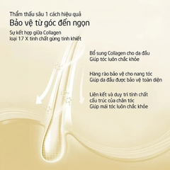 Dầu gội Spes collagen gừng 200ml