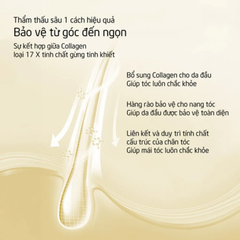 Dầu gội Spes collagen gừng 500ml