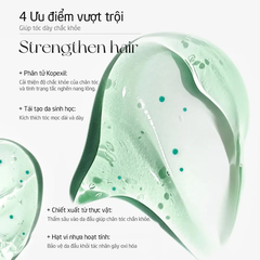 Dầu gội Spes Fluffy and Volumizing 500ml