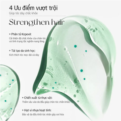 Dầu gội Spes Volumizing 480ml