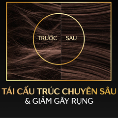 Dầu gội Tsubaki phục hồi hư tổn nặng & giảm gãy rụng 490ml