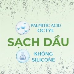 Dầu gội Tsubaki sạch dầu mát lạnh 490ml