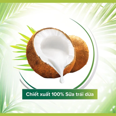 Dầu gội xả 2in1 Palmolive dưỡng ẩm tóc từ sữa dừa 600ml