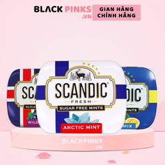 Kẹo ngậm không đường Nga Scandic vị Bạc Hà/Cam Quýt/Berries rừng hộp 14g