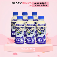 Lốc 6 chai sữa chua uống Nutriboost Hy Lạp việt quất 170ml