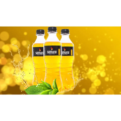 Lốc 6 chai tăng lực Samurai hương nhân sâm 390ml