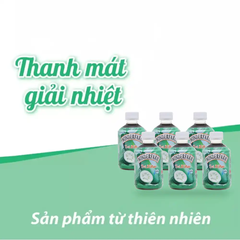 Lốc 6 chai trà bí đao Wonderfarm chai 280 ml