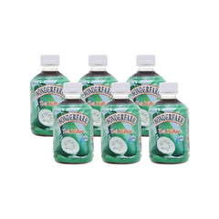 Lốc 6 chai trà bí đao Wonderfarm chai 280 ml