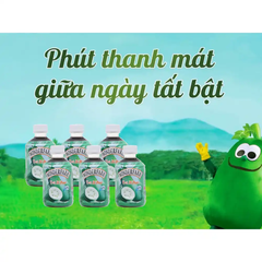 Lốc 6 chai trà bí đao Wonderfarm chai 280 ml
