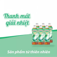 Lốc 6 chai trà bí đao Wonderfarm chai 440ml