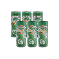 Lốc 6 lon trà bí đao Wonderfarm 240 ml