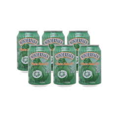 Lốc 6 lon trà bí đao Wonderfarm 310 ml