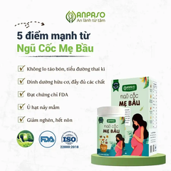 Ngũ cốc mẹ bầu Anpaso 500g