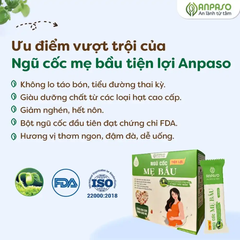 Ngũ cốc mẹ bầu Anpaso hộp 450g