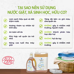 Nước giặt hữu cơ đậm đặc hương thông bạc hà Harmonie Verte 1,5 lít/5 lít