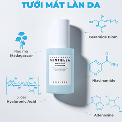 Serum Skin1004 cấp ẩm, làm dịu và dưỡng sáng da 100ml