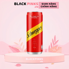 Soda Schweppes Dry Ginger Ale 320ml