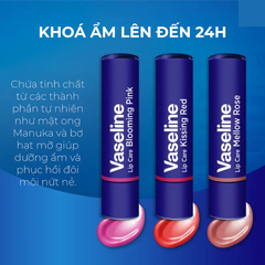 Son dưỡng có màu Vaseline hồng cam êm dịu /đỏ tươi tắn /hồng ngọt ngào 3g