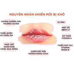 Son dưỡng môi DHC không màu hỗ trợ giảm thâm môi 1.5g